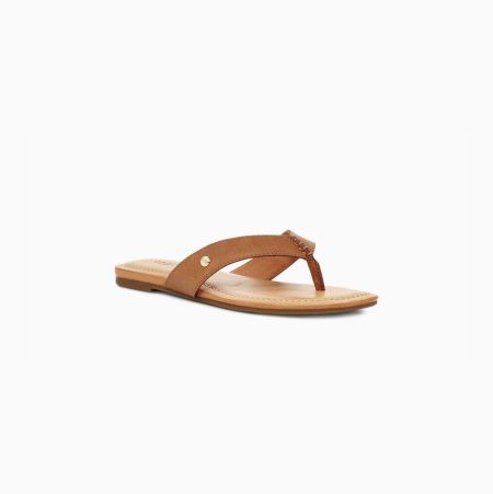 UGG Tuolumne Brown Flip Flops for Women (IWQY85923)